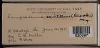 Image Associated With the Occurence